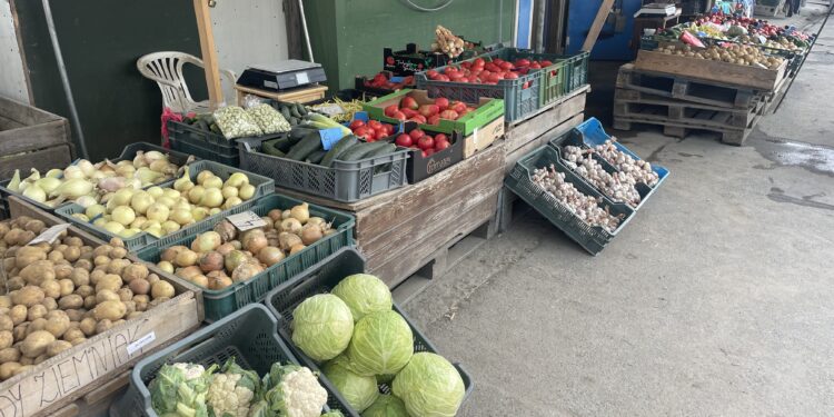 Bogactwo owoców i warzyw na giełdzie w Sandomierzu