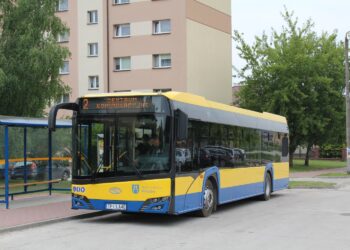 Autobusy hybrydowe na ulicach Pińczowa