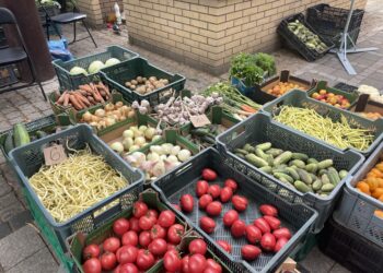 20.07.2023. Sandomierz. Plac 3 maja / Fot. Grażyna Szlęzak – Radio Kielce