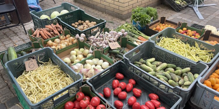 20.07.2023. Sandomierz. Plac 3 maja / Fot. Grażyna Szlęzak – Radio Kielce