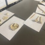 27.07.2023. Sandomierz. Zajęcia dla dzieci w Muzeum Zamkowym / Fot. Grażyna Szlęzak - Radio Kielce