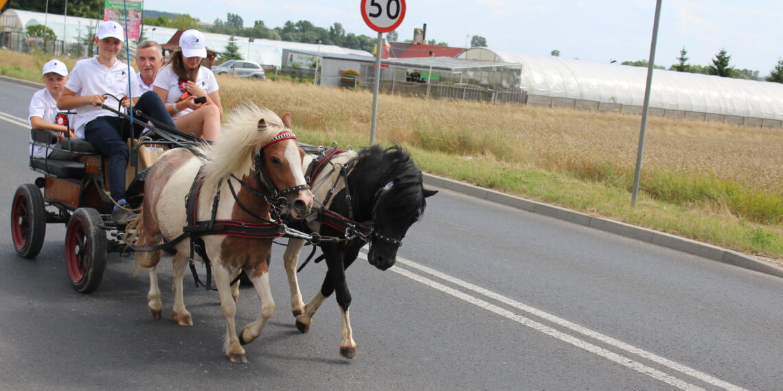 23.07.2023. Pińczów: I Nadnidziańska Parada Karet i Zaprzęgów Konnych. / Fot. Marta Gajda-Kruk - Radio Kielce