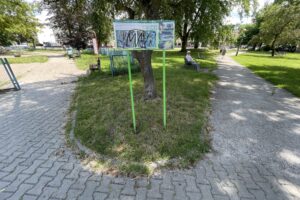 07.07.2023. Kielce. Skwer im. Ireny Sendlerowej / Fot. Jarosław Kubalski - Radio Kielce