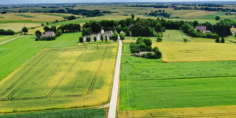 Płatności ekologiczne dla większej grupy rolników - Radio Kielce Wieś. Pole. Rolnictwo / Fot. Jarosław Kubalski - Radio Kielce