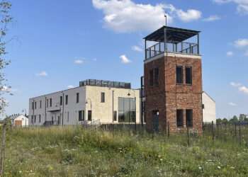 Prokuratura oskarża ws. zabicia jaskółek w Umianowicach - Radio Kielce Prokuratura oskarża ws. zabicia jaskółek w Umianowicach