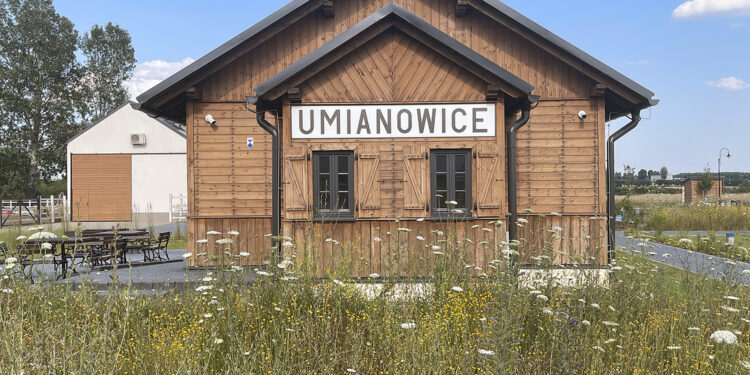 To krzycząca niesprawiedliwość – mówią naukowcy. Echa odwołania dyrektora Hałatkiewicza