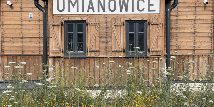 Odwołany i... powołany. Tomasz Hałatkiewicz znów na czele zespołu parków