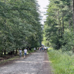 23.07.2023. Rezerwat Skałki Piekło pod Niekłaniem / Fot. Robert Felczak – Radio Kielce