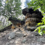 23.07.2023. Rezerwat Skałki Piekło pod Niekłaniem / Fot. Robert Felczak – Radio Kielce