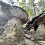 23.07.2023. Rezerwat Skałki Piekło pod Niekłaniem / Fot. Robert Felczak – Radio Kielce