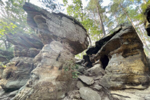 23.07.2023. Rezerwat Skałki Piekło pod Niekłaniem / Fot. Robert Felczak – Radio Kielce