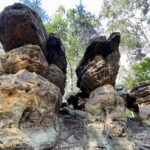 Piekielnie popularne skały