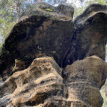 23.07.2023. Rezerwat Skałki Piekło pod Niekłaniem / Fot. Robert Felczak – Radio Kielce