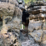 23.07.2023. Rezerwat Skałki Piekło pod Niekłaniem / Fot. Robert Felczak – Radio Kielce