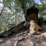 23.07.2023. Rezerwat Skałki Piekło pod Niekłaniem / Fot. Robert Felczak – Radio Kielce
