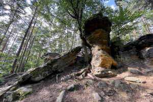 23.07.2023. Rezerwat Skałki Piekło pod Niekłaniem / Fot. Robert Felczak – Radio Kielce