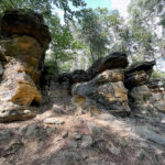 23.07.2023. Rezerwat Skałki Piekło pod Niekłaniem / Fot. Robert Felczak – Radio Kielce