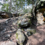 23.07.2023. Rezerwat Skałki Piekło pod Niekłaniem / Fot. Robert Felczak – Radio Kielce