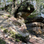 23.07.2023. Rezerwat Skałki Piekło pod Niekłaniem / Fot. Robert Felczak – Radio Kielce