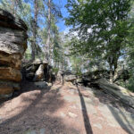 23.07.2023. Rezerwat Skałki Piekło pod Niekłaniem / Fot. Robert Felczak – Radio Kielce