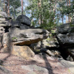 23.07.2023. Rezerwat Skałki Piekło pod Niekłaniem / Fot. Robert Felczak – Radio Kielce