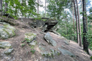 23.07.2023. Rezerwat Skałki Piekło pod Niekłaniem / Fot. Robert Felczak – Radio Kielce