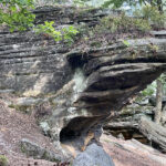 23.07.2023. Rezerwat Skałki Piekło pod Niekłaniem / Fot. Robert Felczak – Radio Kielce