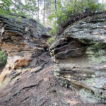 23.07.2023. Rezerwat Skałki Piekło pod Niekłaniem / Fot. Robert Felczak – Radio Kielce