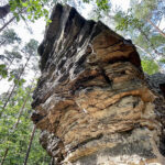 23.07.2023. Rezerwat Skałki Piekło pod Niekłaniem / Fot. Robert Felczak – Radio Kielce