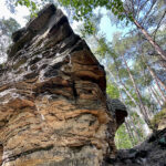 23.07.2023. Rezerwat Skałki Piekło pod Niekłaniem / Fot. Robert Felczak – Radio Kielce