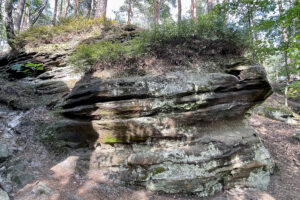 23.07.2023. Rezerwat Skałki Piekło pod Niekłaniem / Fot. Robert Felczak – Radio Kielce