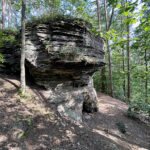 23.07.2023. Rezerwat Skałki Piekło pod Niekłaniem / Fot. Robert Felczak – Radio Kielce