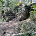 23.07.2023. Rezerwat Skałki Piekło pod Niekłaniem / Fot. Robert Felczak – Radio Kielce