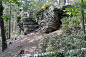 23.07.2023. Rezerwat Skałki Piekło pod Niekłaniem / Fot. Robert Felczak – Radio Kielce