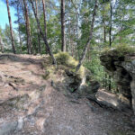 23.07.2023. Rezerwat Skałki Piekło pod Niekłaniem / Fot. Robert Felczak – Radio Kielce