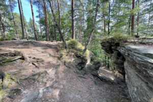 23.07.2023. Rezerwat Skałki Piekło pod Niekłaniem / Fot. Robert Felczak – Radio Kielce