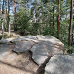 23.07.2023. Rezerwat Skałki Piekło pod Niekłaniem / Fot. Robert Felczak – Radio Kielce