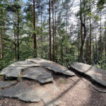 23.07.2023. Rezerwat Skałki Piekło pod Niekłaniem / Fot. Robert Felczak – Radio Kielce