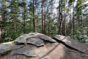 23.07.2023. Rezerwat Skałki Piekło pod Niekłaniem / Fot. Robert Felczak – Radio Kielce