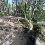 23.07.2023. Rezerwat Skałki Piekło pod Niekłaniem / Fot. Robert Felczak – Radio Kielce