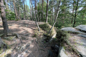 23.07.2023. Rezerwat Skałki Piekło pod Niekłaniem / Fot. Robert Felczak – Radio Kielce