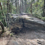 23.07.2023. Rezerwat Skałki Piekło pod Niekłaniem / Fot. Robert Felczak – Radio Kielce