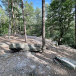 23.07.2023. Rezerwat Skałki Piekło pod Niekłaniem / Fot. Robert Felczak – Radio Kielce