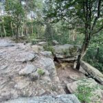 23.07.2023. Rezerwat Skałki Piekło pod Niekłaniem / Fot. Robert Felczak – Radio Kielce