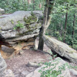 23.07.2023. Rezerwat Skałki Piekło pod Niekłaniem / Fot. Robert Felczak – Radio Kielce