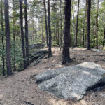 23.07.2023. Rezerwat Skałki Piekło pod Niekłaniem / Fot. Robert Felczak – Radio Kielce