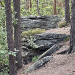 23.07.2023. Rezerwat Skałki Piekło pod Niekłaniem / Fot. Robert Felczak – Radio Kielce