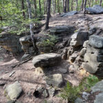 23.07.2023. Rezerwat Skałki Piekło pod Niekłaniem / Fot. Robert Felczak – Radio Kielce