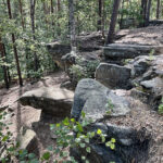 23.07.2023. Rezerwat Skałki Piekło pod Niekłaniem / Fot. Robert Felczak – Radio Kielce