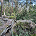 23.07.2023. Rezerwat Skałki Piekło pod Niekłaniem / Fot. Robert Felczak – Radio Kielce